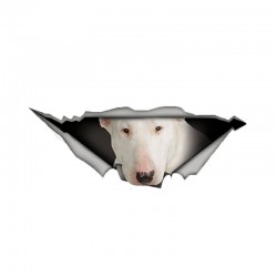Witte bull terrier - vinyl autosticker - waterdicht - 13 * 4,9 cmStickers