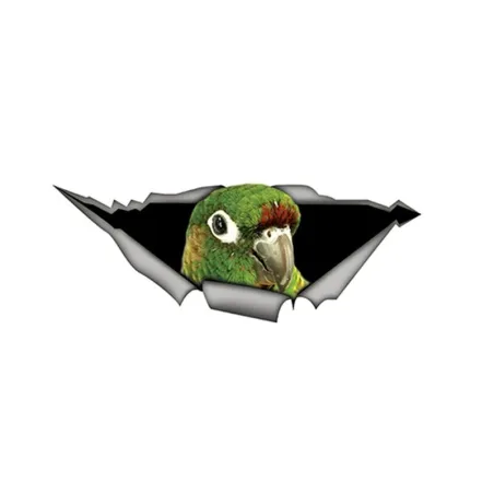 Perroquet 3D vert - auto sticker 15 * 6cm