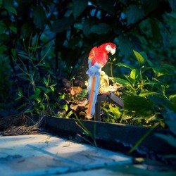 Perroquet LED solaire - lumière de jardin