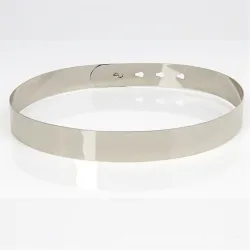 Metalen chrome goldenRiemen