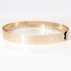 Metalen chrome goldenRiemen