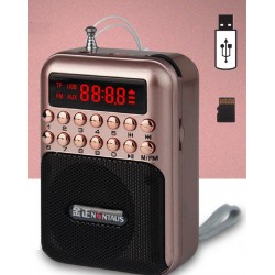 Portable - rechargeable mini radio - support TF card - USB - MP3 playerAudio